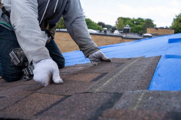 Best Commercial Roofing Services  in Wimauma, FL
